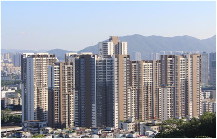 普洱格力香樟